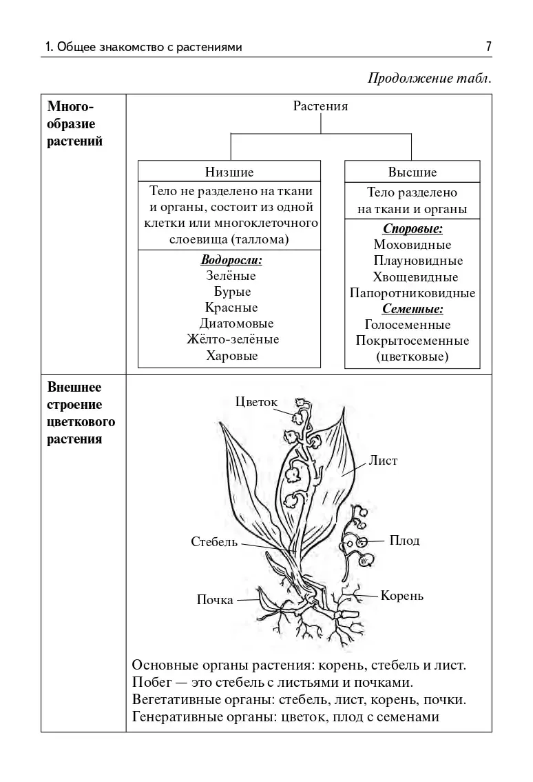 Кириленко. ЕГЭ,ОГЭ. Биология. Раздел «Растения, грибы, лишайники». Теория,  тренировочные задания — купить по ценам от 260 руб в Москве |  интернет-магазин Методлит.ру