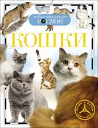 Кошки. Детская энциклопедия Росмэн.