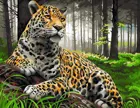 Картина по номерам на холсте 40х50 на подрамнике. "Леопард в лесу".