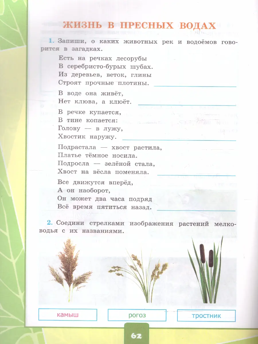 Тихомирова. Окружающий мир. 4 класс. Тетрадь для практических работ с  дневником наблюдений. Часть 1. Школа России. (к новому ФПУ) — купить по  ценам от 177 ₽ в Москве | интернет-магазин Методлит.ру