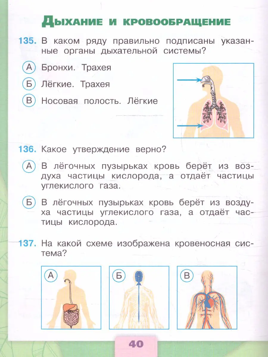 Плешаков. Окружающий мир. 3 класс. Тесты. ФГОС Новый — купить по ценам от  304 ₽ в Москве | интернет-магазин Методлит.ру