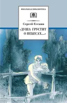 "Душа грустит о небесах..." Школьная библиотека.