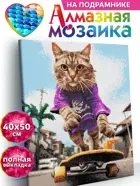 Алмазная мозаика на подрамнике KiKi "Кот-скейтбордист" 40*50, полная выкладка.