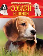 Собаки и щенки. Детская энциклопедия.