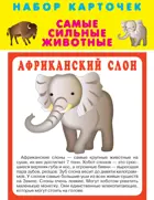 Самые быстрые животные. (20 карточек с картонным клапаном). КАРТОЧКИ.