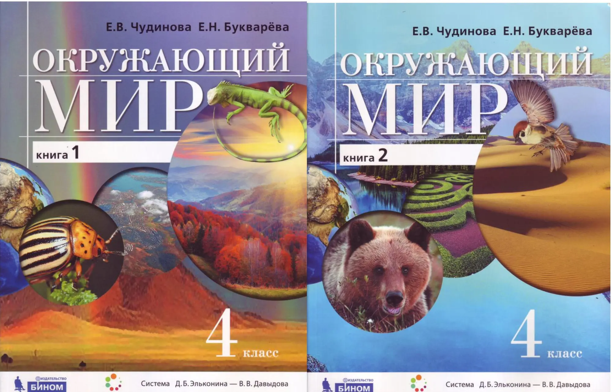 Чудинова. Окружающий мир. 4 класс. Учебник. Часть 1. ФГОС. (Бином) — купить  по ценам от 920 ₽ в Москве | интернет-магазин Методлит.ру