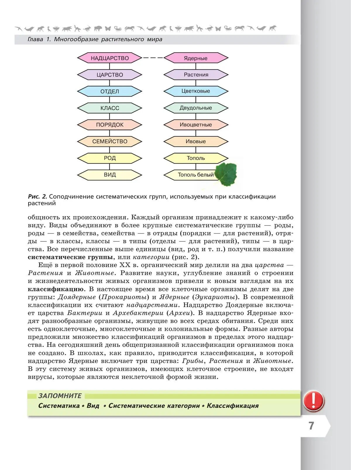 Пасечник. Биология. 7 класс. Учебник. 