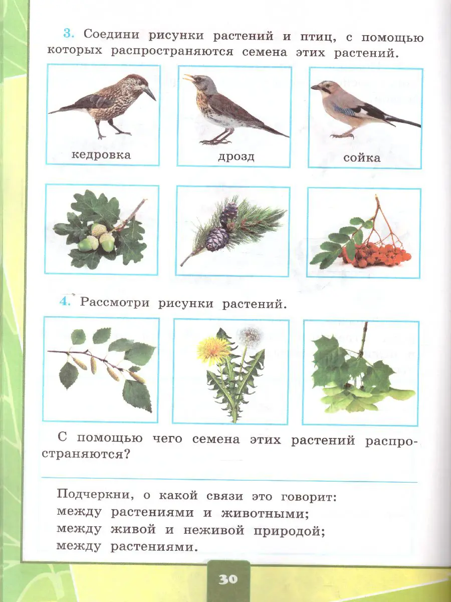 Тихомирова. Окружающий мир. 2 класс. Тетрадь для практических работ с дневником  наблюдений. Часть 1. Школа России — купить по ценам от 173 ₽ в Москве |  интернет-магазин Методлит.ру