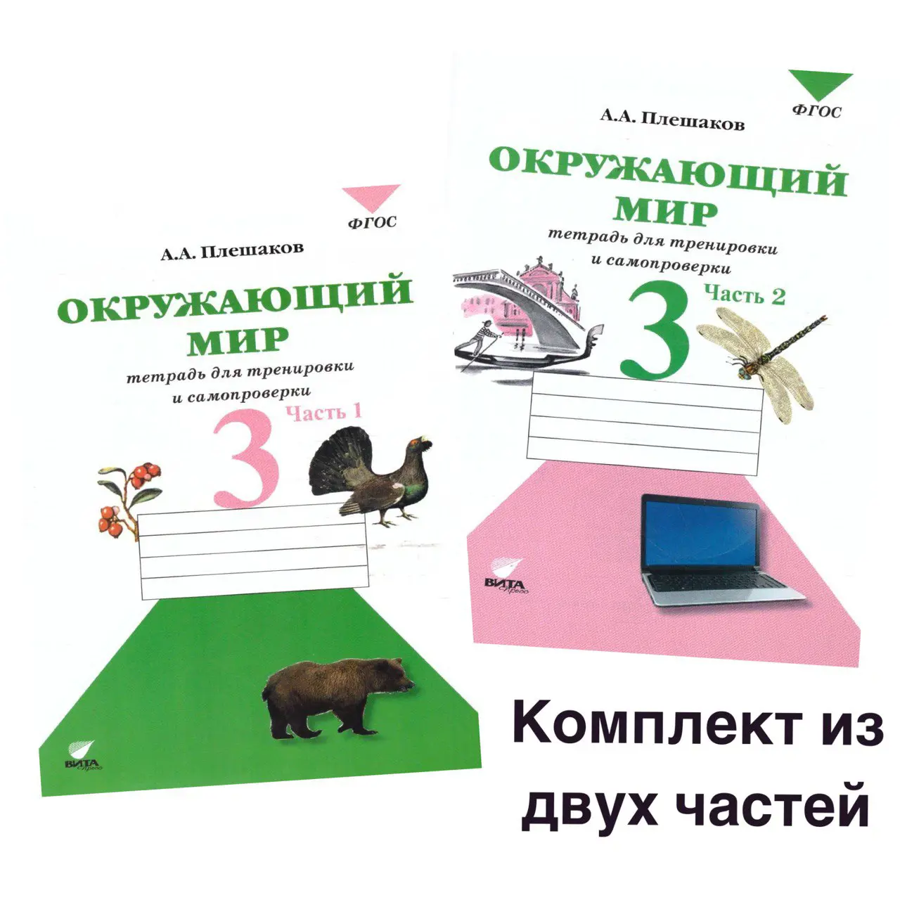 Плешаков. Окружающий мир. 3 класс. Тетрадь для тренировки и самопроверки.  1. — купить по ценам от 229 ₽ в Москве | интернет-магазин Методлит.ру