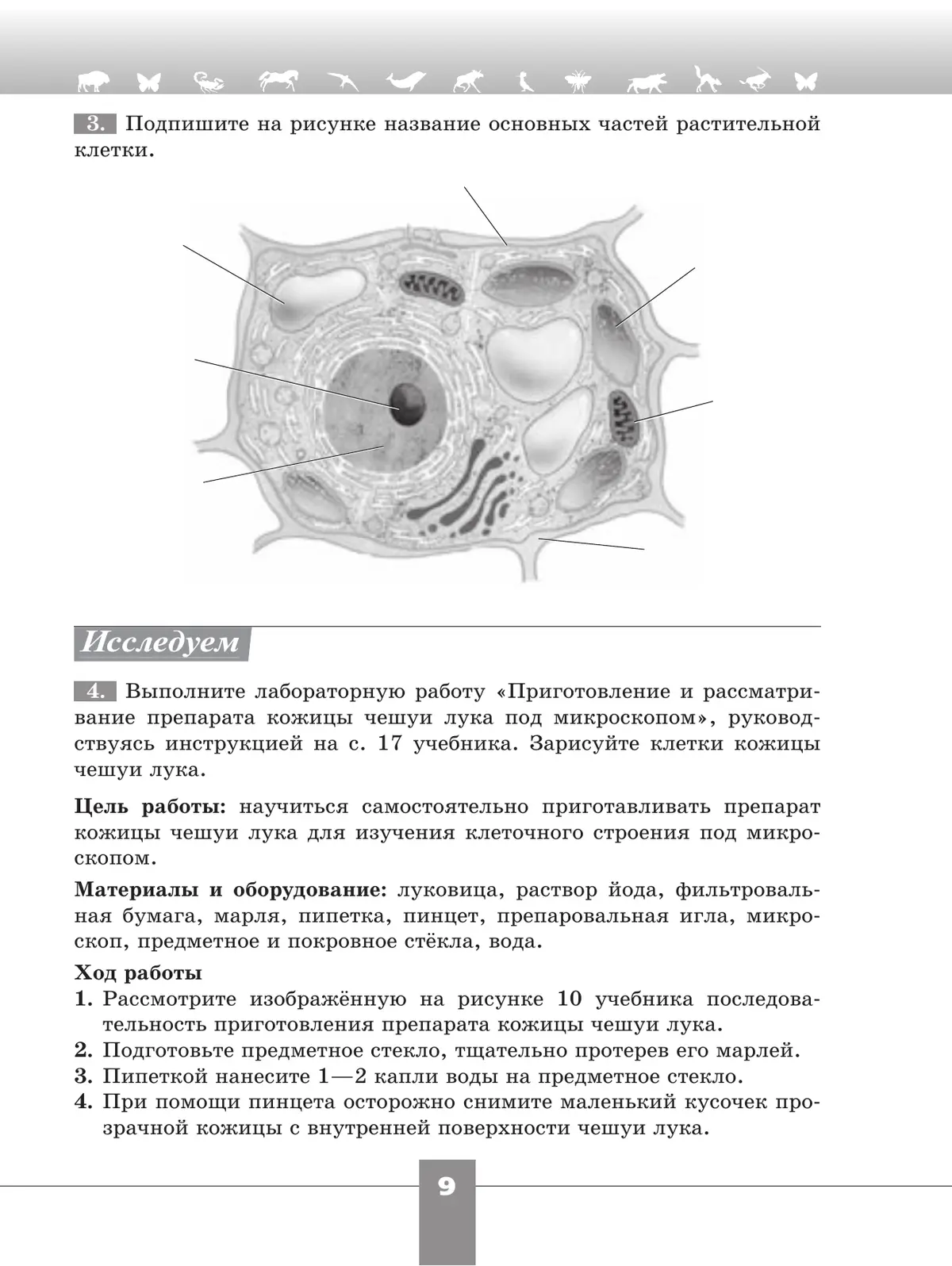 Пасечник. Биология. 6 класс. Рабочая тетрадь. 