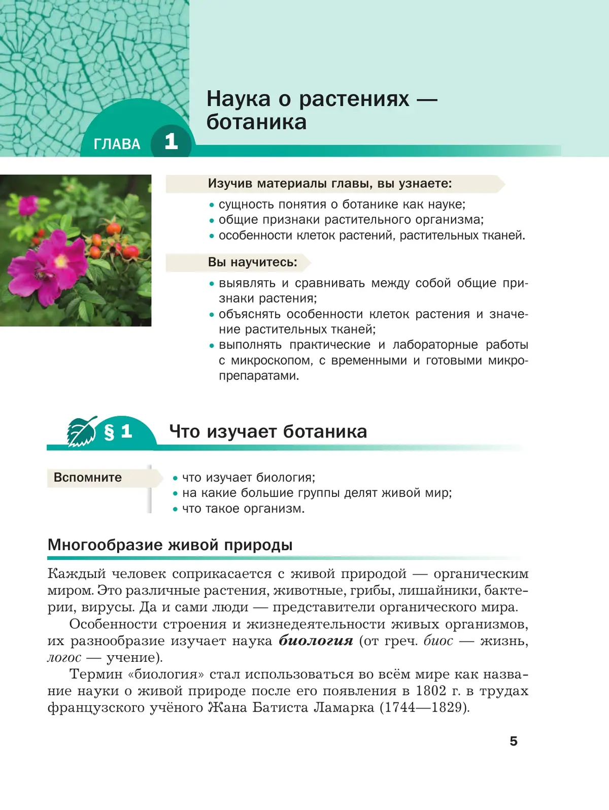 Пономарева. Биология. 6 класс. Учебное пособие. Линейный курс.  (Просвещение) — купить по ценам от 1007 руб в Москве | интернет-магазин  Методлит.ру