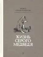 Жизнь серого медведя. Рассказы о животных.